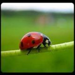 Tchou_1322