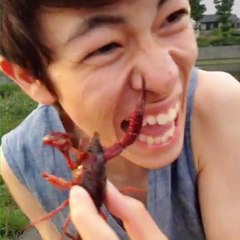 Daily Vines and Memes