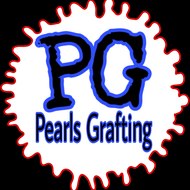 Pearls Grafting