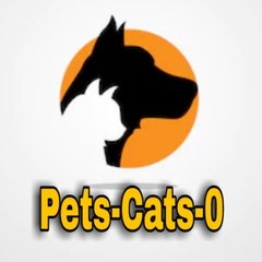 Pets cats 0