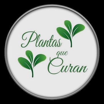 Plantas que curan