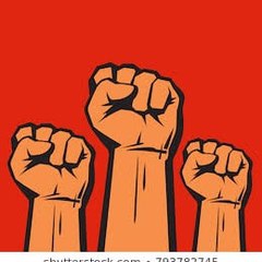 मुस्लीम अधिकार आंदोलन