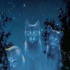 Cats and Dogs Channel