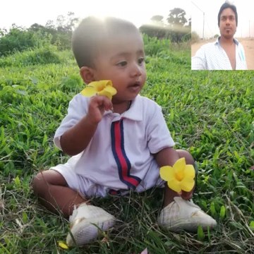 ROHUL AMIN