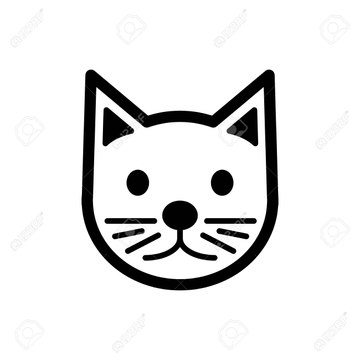 The curious Catty