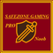 Safezone Gaming Pro vs Noob