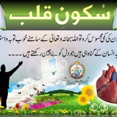Haris K TV