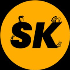 SK Pixel