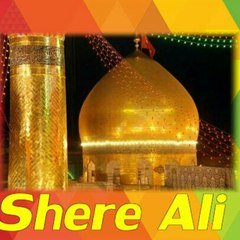 Shere Ali Group