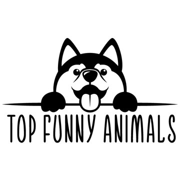 Top Funny Animals