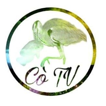 tấu hài VN