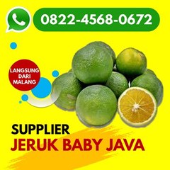 AgenJerukBabyJava