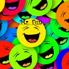 Mr.Fun