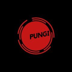 Pungi - sabki bjegi