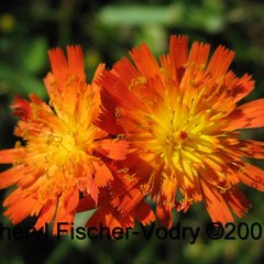 MediaMarketingDesign