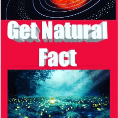 Get Natural Fact