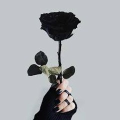 Black Rose