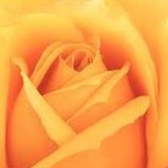 Littleflower