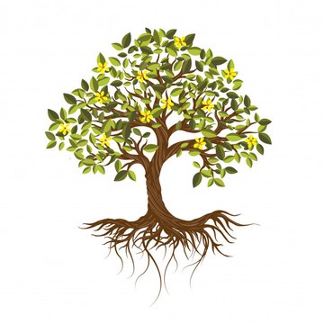 13.Home & Garden