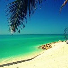 Sarasota Holiday Rental