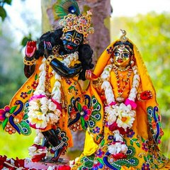 Somnath Acharya.com
