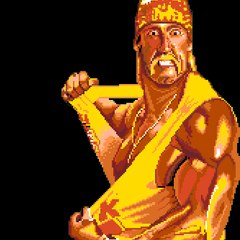 WWF90s