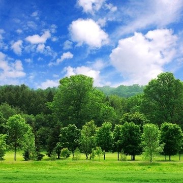 Breath Taking World