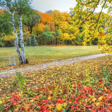 أطفال بدون موسيقى