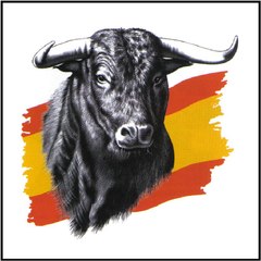 DETRÁS DE LA CÁMARA