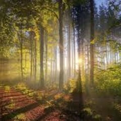 Offbeat Relaxing Music