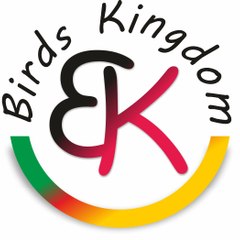 BIRDS KINGDOM