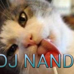 dj nandi