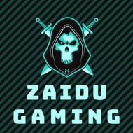 Zaidu gaming