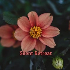 Silent Retreat