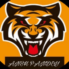 Ansh Pandey