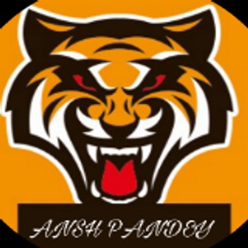Ansh Pandey