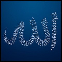 Islamiclessons