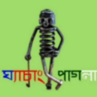 ঘ্যাচাং পাগলা