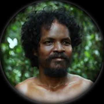 Primitive Wilderness