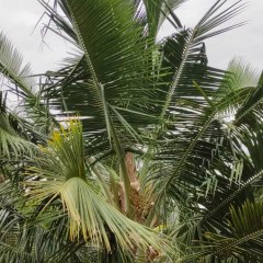 Tamil Ulagam
