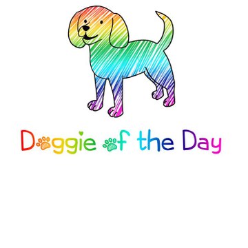 Doggie Of The Day