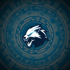 CR 07 gaming
