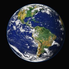 THE GLOBAL
