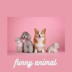 dm_FUNNYANIMALS