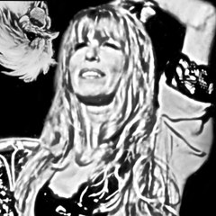 Zwerghuhn Gartengestaltung