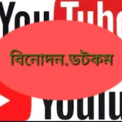 binodon.com