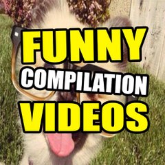 Funny compilations