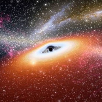 Omitted Entertainment TV