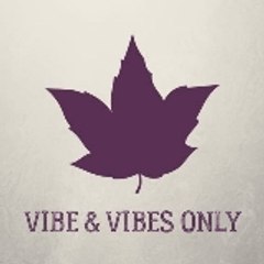 Vibe & Vibes Only