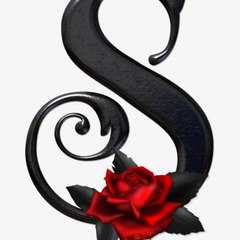 SN love status